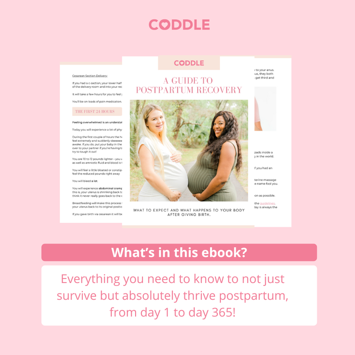 Postpartum Recovery eBook