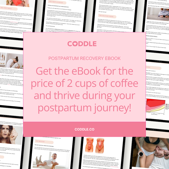 Postpartum Recovery eBook