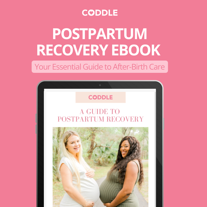 Postpartum Recovery eBook