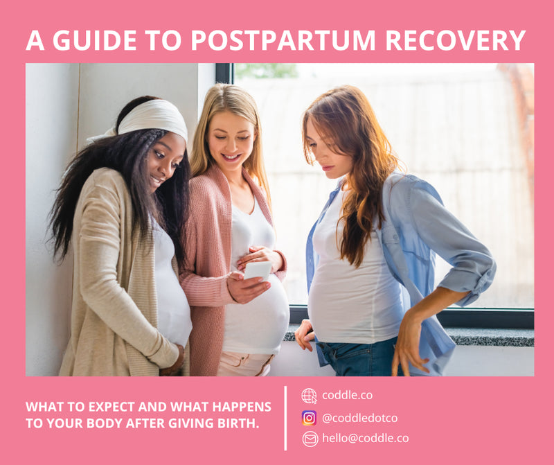 Postpartum Recovery eBook: Your Essential Guide to After-Birth Care